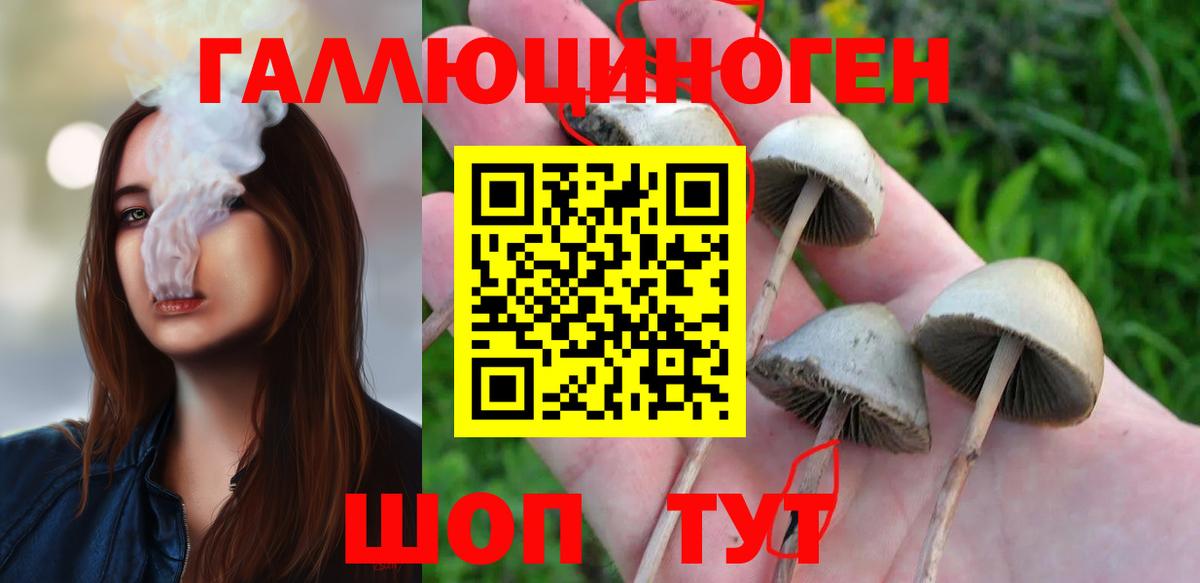 Галлюциногенные грибы прущие грибы  Вход с VPN  Дзержинский  Галлюциногенные грибы Psilocybe 